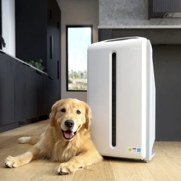 Zdroj: https://www.instagram.com/amwayeu/